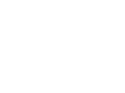 PHINEO-Standard_Negative